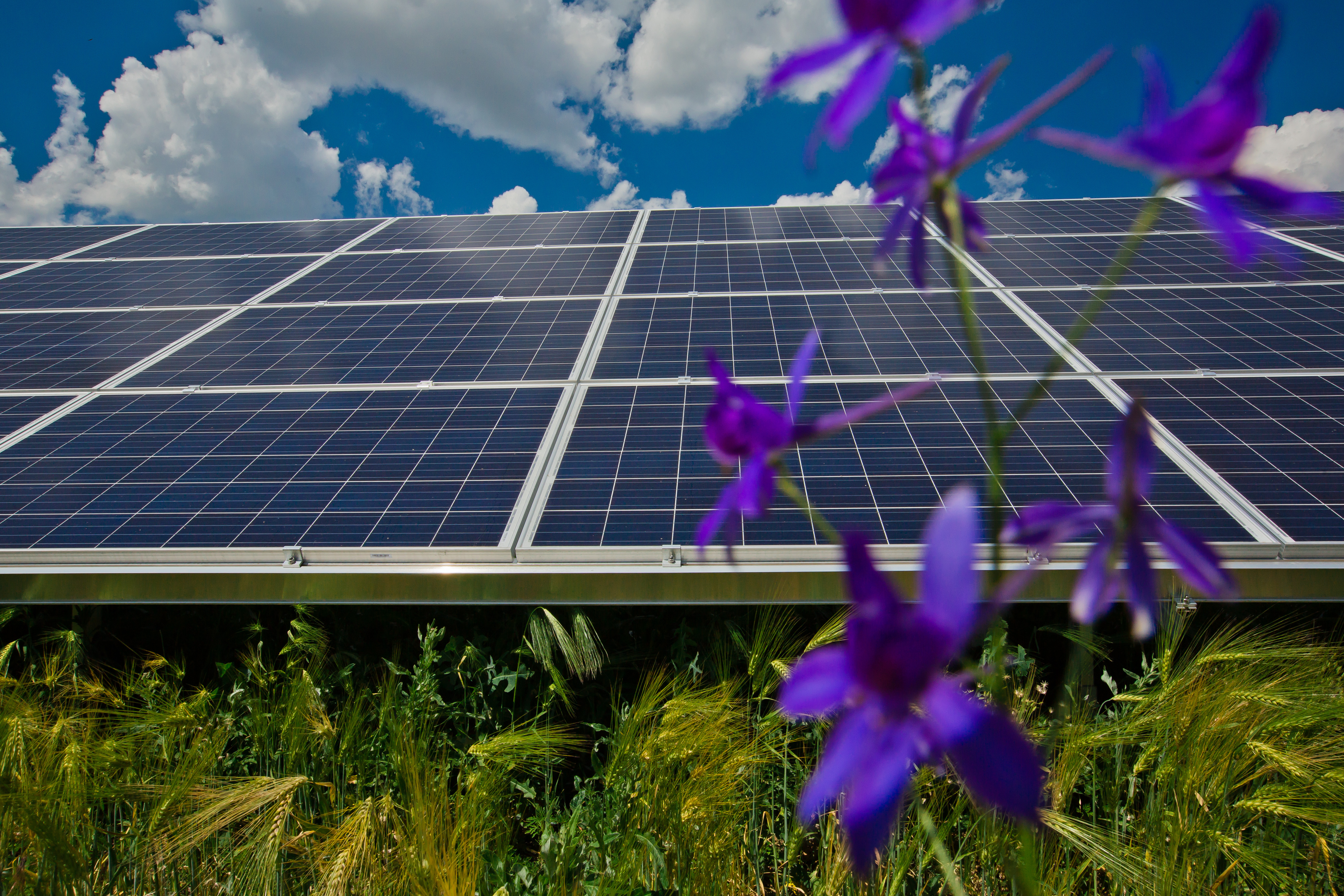 Трифановка Енержі звернулася в НКРЕКП щодо отримання ліцензій на виробництво електроенергії і «зеленого» тарифу