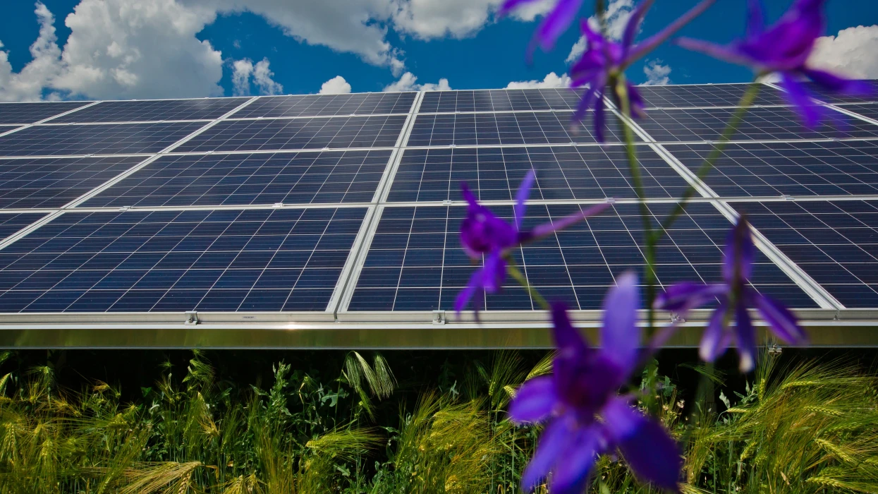 Tryfonivka Energy Appeals to the NERC to Obtain Licenses for Power Generation and “Green” Tariff