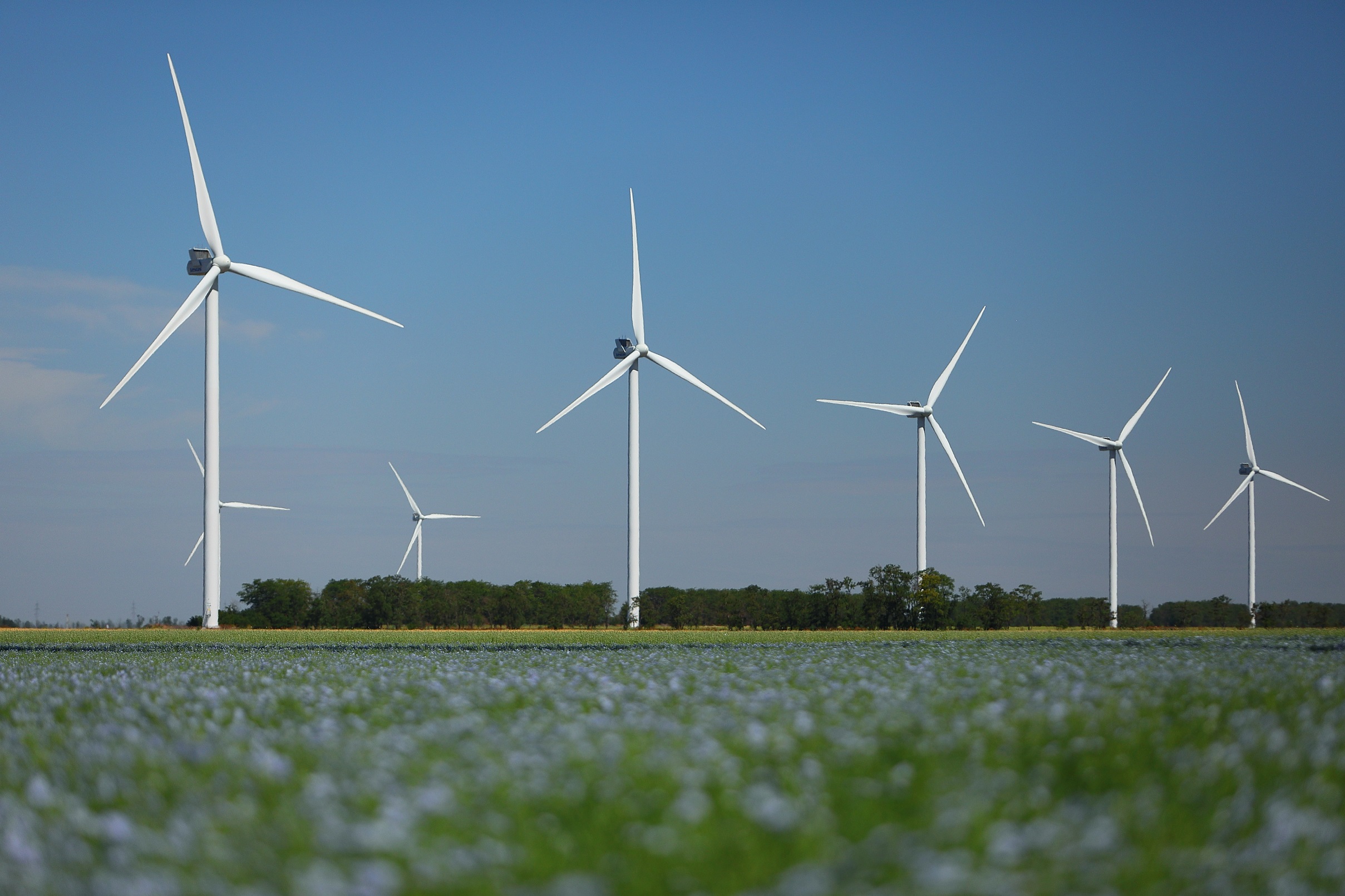 «Зелена» енергетика стає популярнішою: кількість туристів на Ботієвській ВЕС у 2018 році збільшилася на чверть