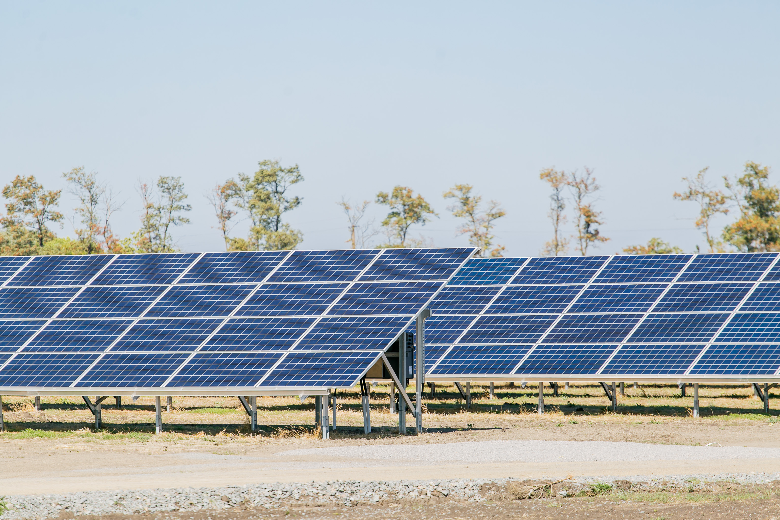 Збільшення портфеля проектів в геліоенергетиці: ДТЕК ВДЕ починає підготовку до будівництва Покровської СЕС