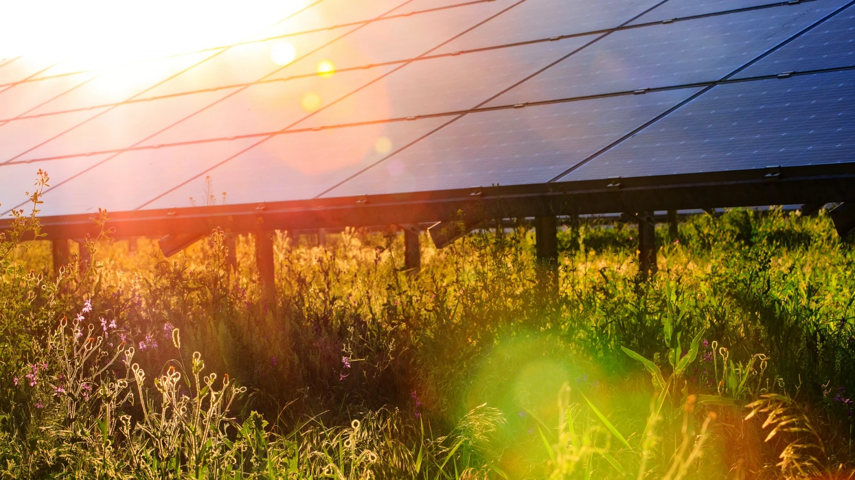 Сонячні інновації. Як використовувати енергію Сонця на благо?