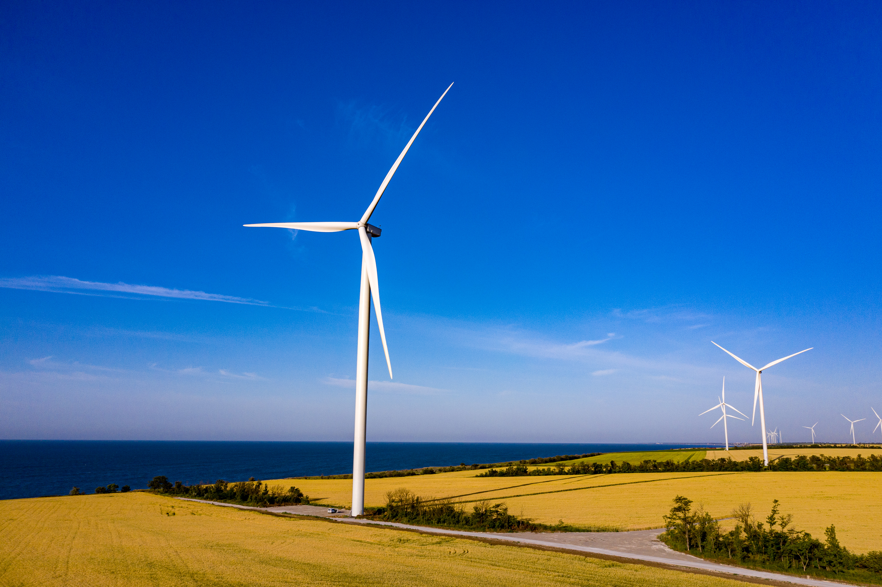 Енергія вітру: спеціальний матеріал до Всесвітнього дня вітру