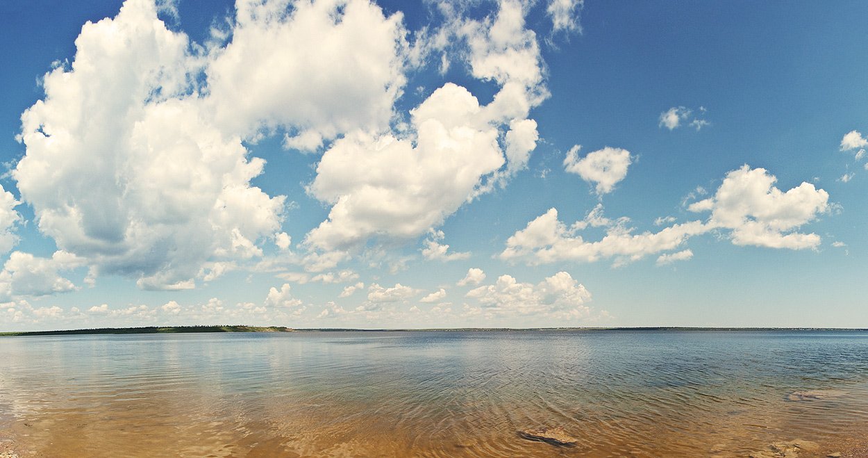 ДТЕК ВДЕ взяв участь у заходах на честь Дня водно-болотних угідь