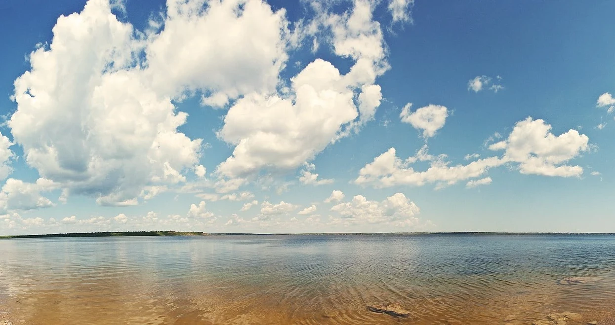 ДТЕК ВДЕ взяв участь у заходах на честь Дня водно-болотних угідь ДТЕК ВДЕ взяв участь у заходах на честь Дня водно-болотних угідь