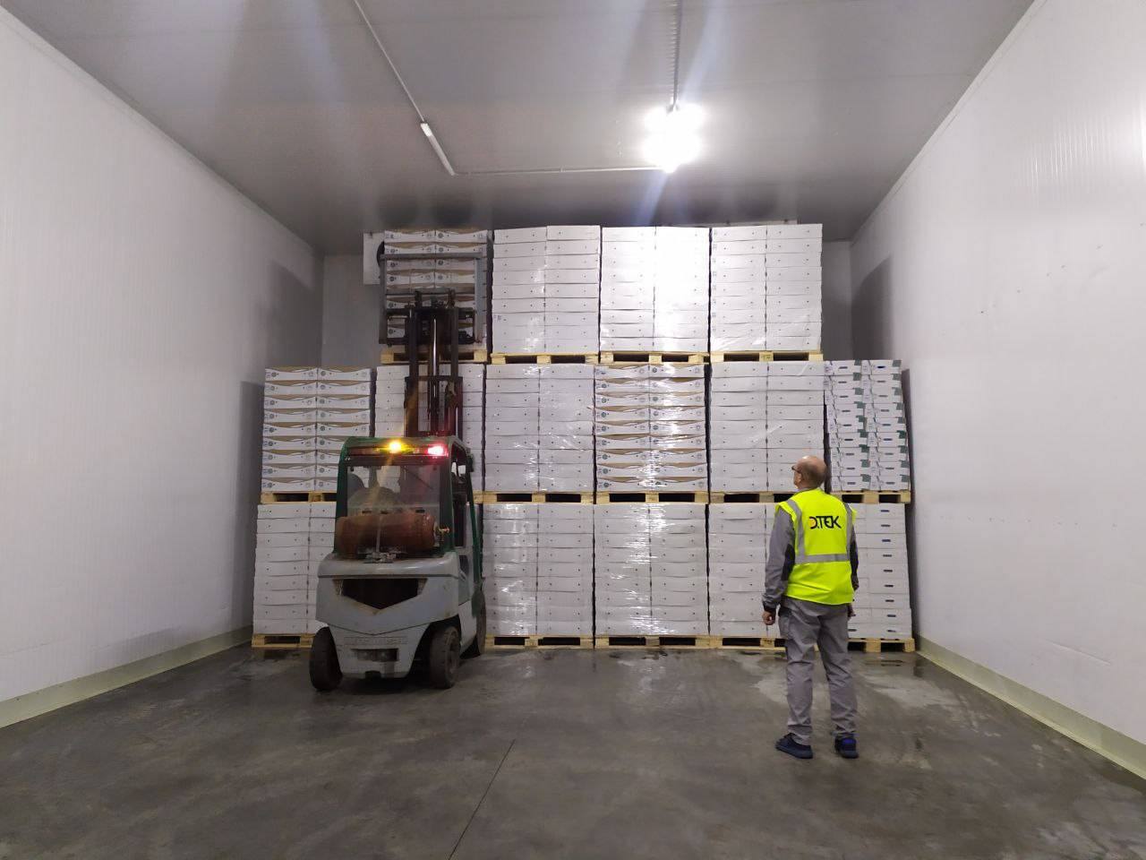 ДТЕК ВДЕ передав 100 тонн курятини для жителів Миколаївщини