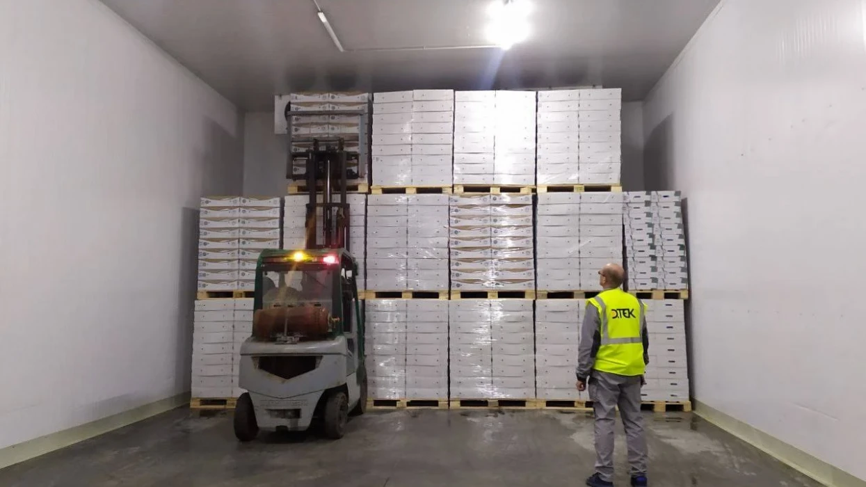 ДТЕК ВДЕ передав 100 тонн курятини для жителів Миколаївщини ДТЕК ВДЕ передав 100 тонн курятини для жителів Миколаївщини