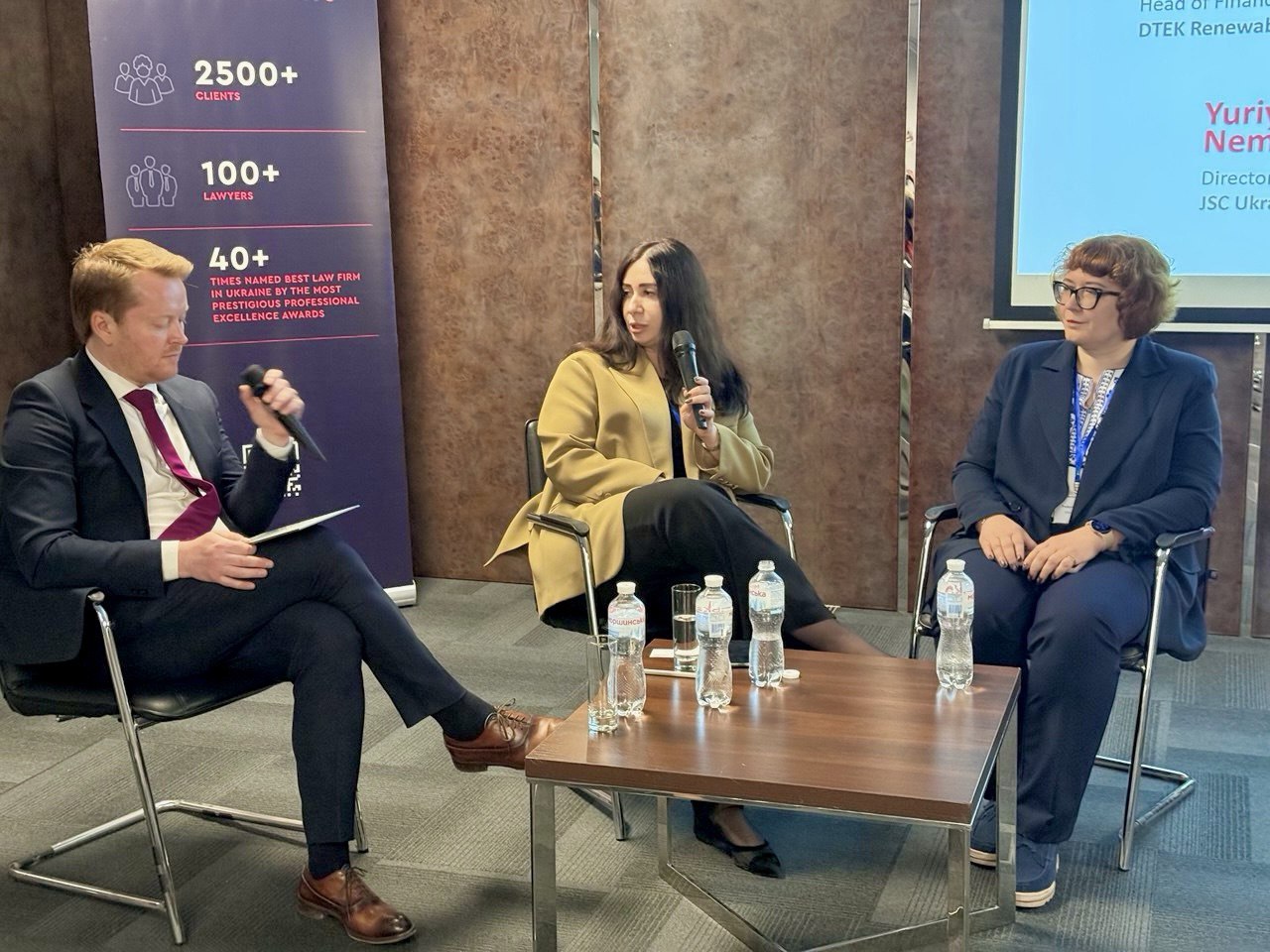 Тилігульська ВЕС — приклад успішного залучення зовнішніх інвестицій під час війни