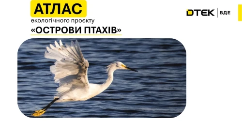 DTEK Renewables Presents the 2025 “ Bird Islands” Atlas: Number of Breeding Pairs Increased Fourfold