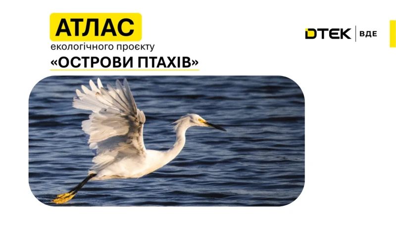 DTEK Renewables Presents the 2025 “ Bird Islands” Atlas: Number of Breeding Pairs Increased Fourfold