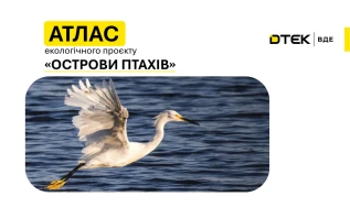 DTEK Renewables Presents the 2025 “ Bird Islands” Atlas: Number of Breeding Pairs Increased Fourfold