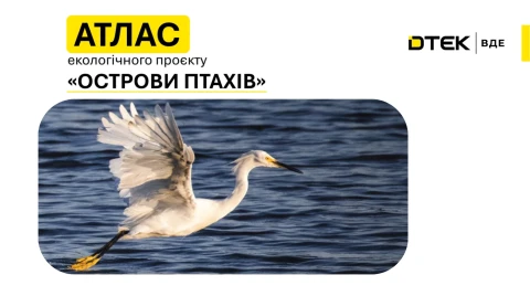 ДТЕК ВДЕ представив Атлас «Острови птахів» за 2025 рік: кількість гніздових пар зросла у 4 рази