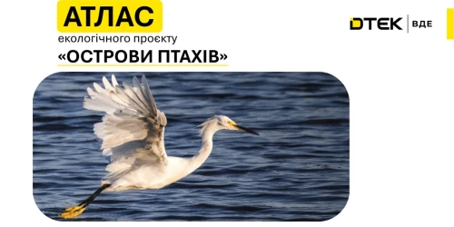 ДТЕК ВДЕ представив Атлас «Острови птахів» за 2025 рік: кількість гніздових пар зросла у 4 рази