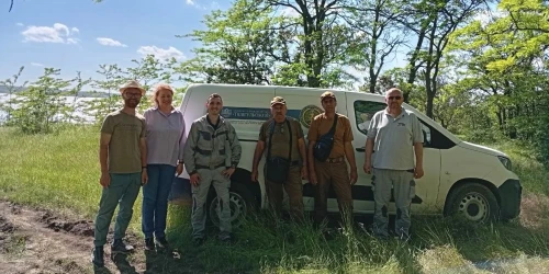 ДТЕК Тилігульська ВЕС та РЛП «Тилігульський» запустили новий екологічний проєкт зі збереження кажанів на Миколаївщині