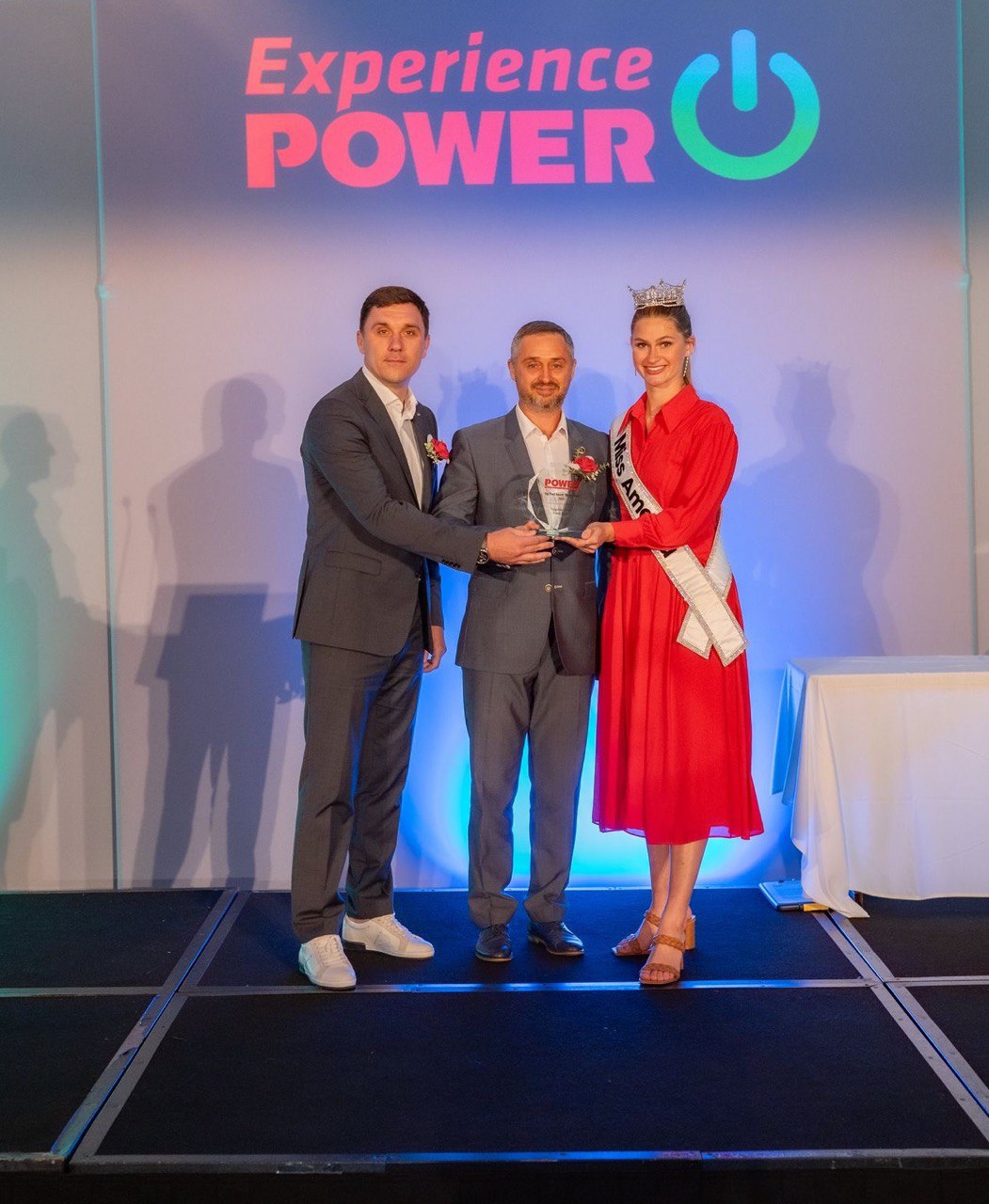 American POWER Magazine honors DTEK Tyligulska Wind Power Plant construction with an award.  1